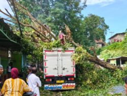 Bencana Hidrometeorologi Dominasi Awal April 2026, BNPB Imbau Waspada